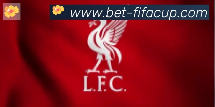 FIFA世界杯下注入口合作伙伴